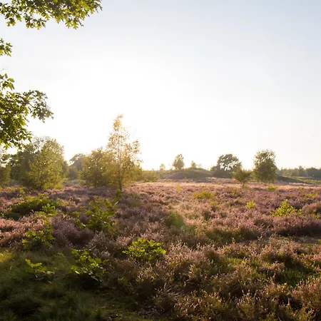Forrest Veluwe * Heerde