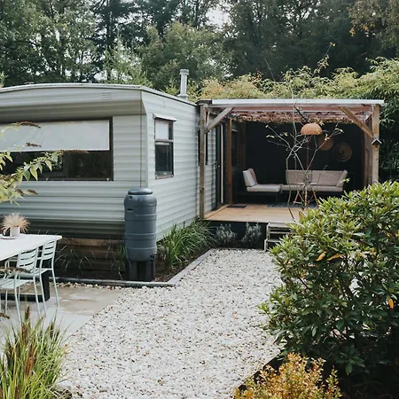 Forrest Veluwe Tiny