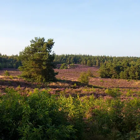 Parque de Campismo Forrest Veluwe Tiny