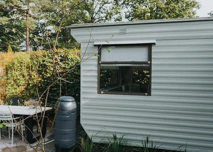 Forrest Veluwe Tiny Campsite