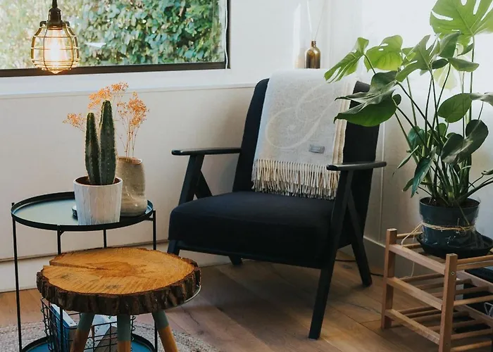 Campsite Forrest Veluwe Tiny *