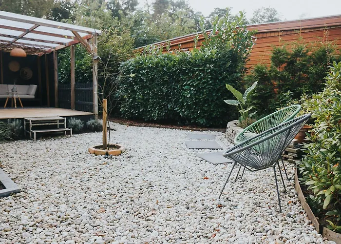 Campsite Forrest Veluwe Tiny