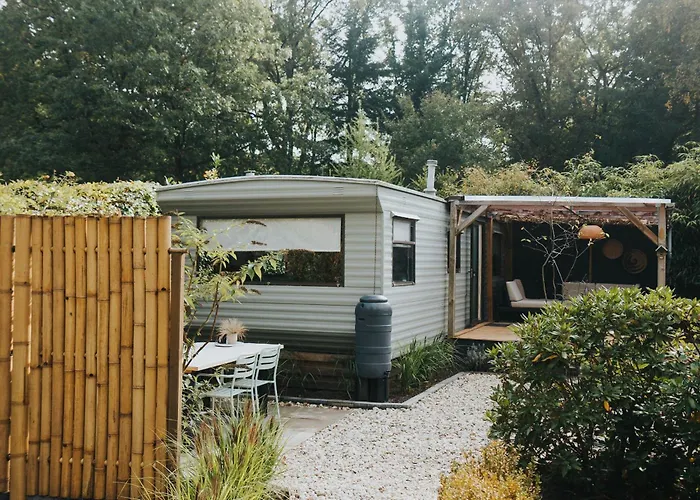 Campsite Forrest Veluwe Tiny Heerde