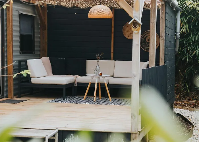 Campsite Forrest Veluwe Tiny Heerde