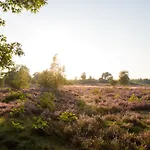 Forrest Veluwe Tiny * Heerde