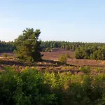 Camping Forrest Veluwe Tiny