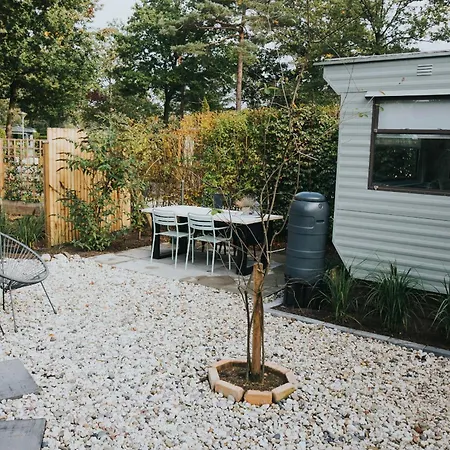 Kemp Forrest Veluwe Tiny Heerde