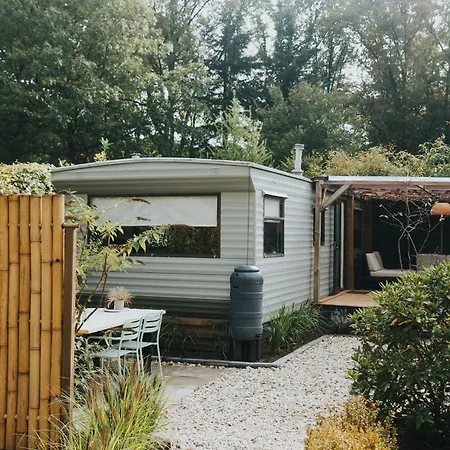 Kemp Forrest Veluwe Tiny Heerde