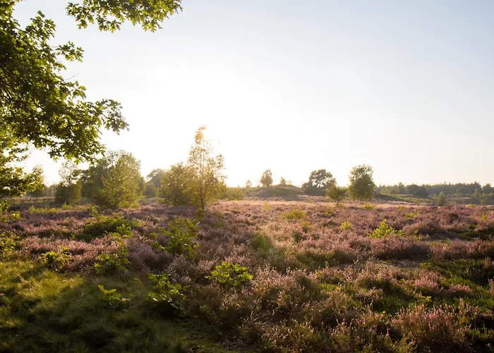 Forrest Veluwe Tiny * Heerde