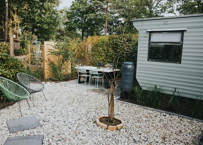 Kemp Forrest Veluwe Tiny Heerde