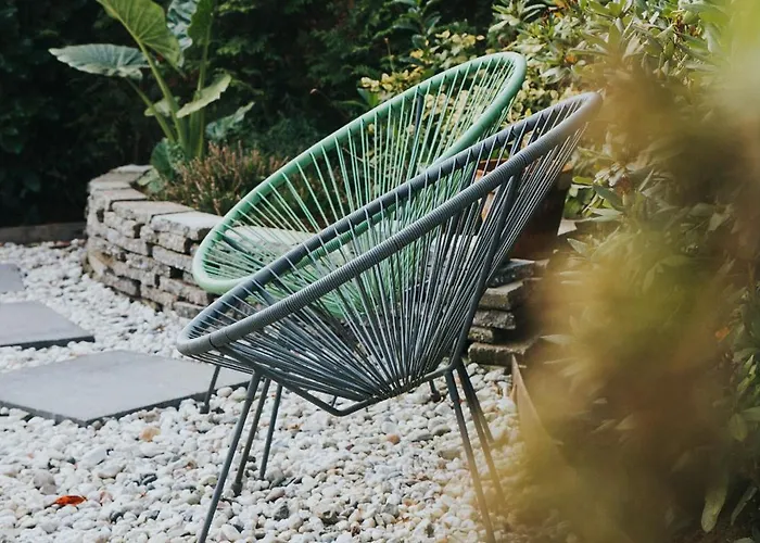 Kemp Forrest Veluwe Tiny Heerde